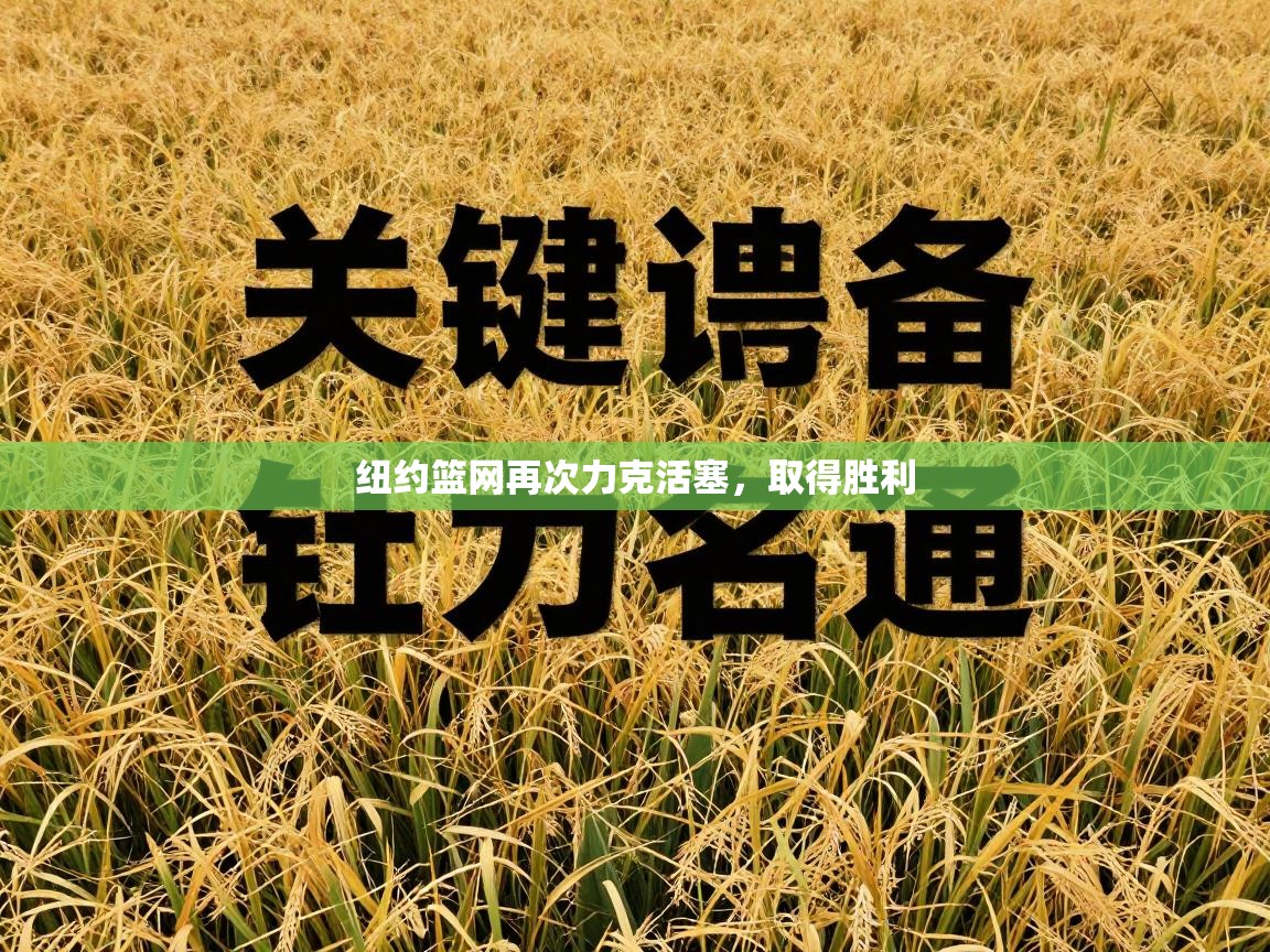 纽约篮网再次力克活塞,取得胜利 第1张