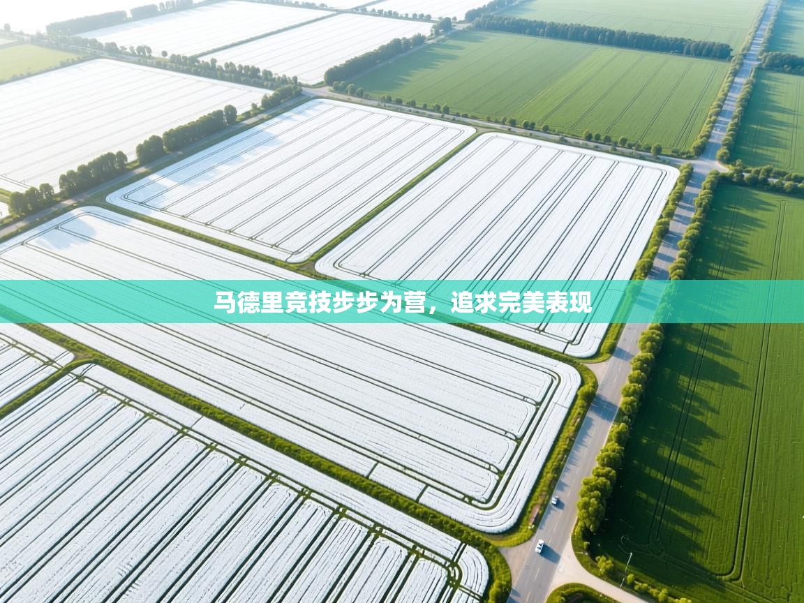 马德里竞技步步为营,追求完美表现 第1张