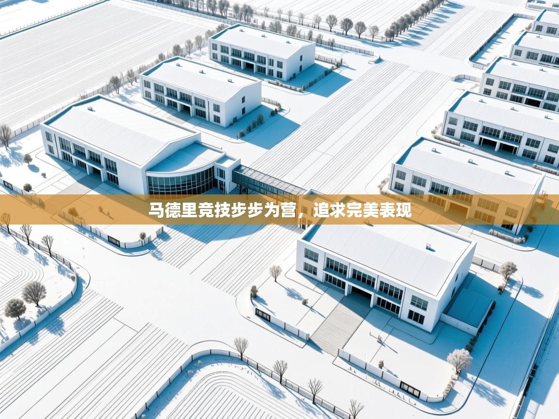 马德里竞技步步为营,追求完美表现 第2张