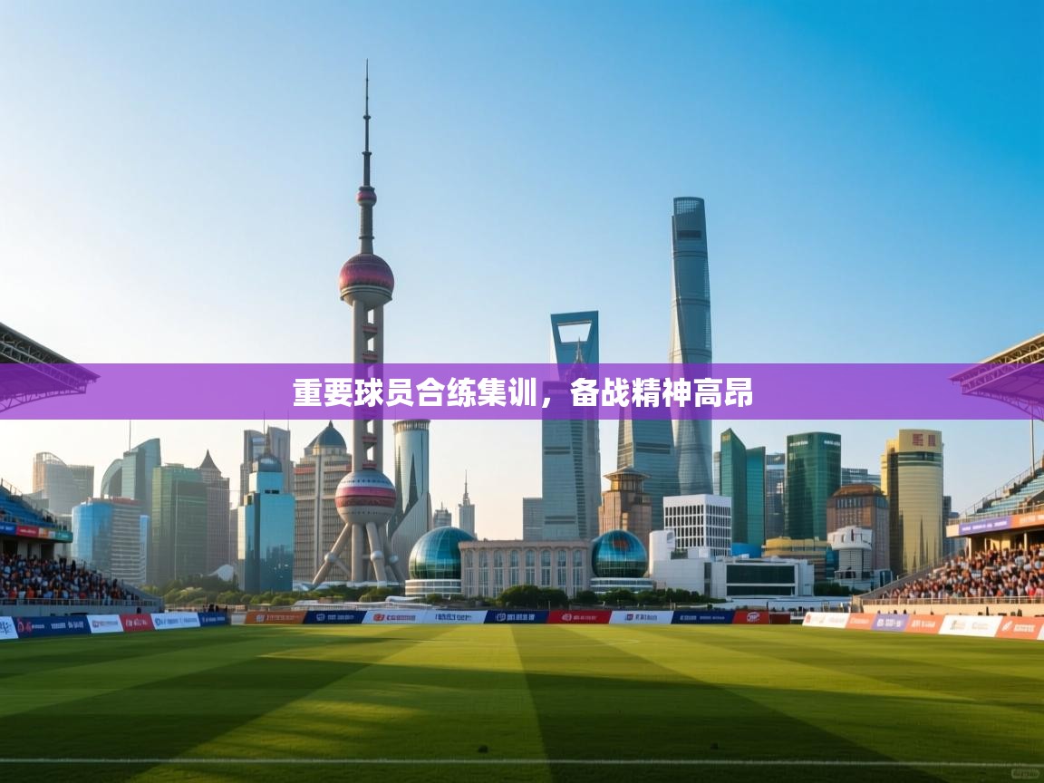 重要球员合练集训，备战精神高昂  第2张