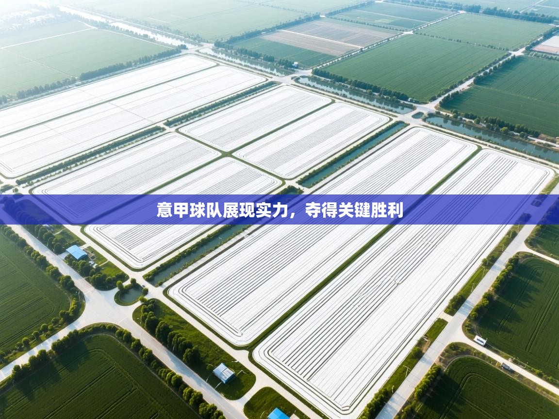 意甲球队展现实力，夺得关键胜利