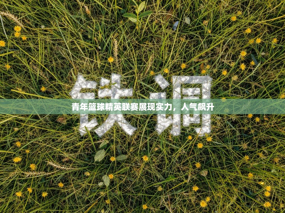 青年篮球精英联赛展现实力，人气飙升  第1张