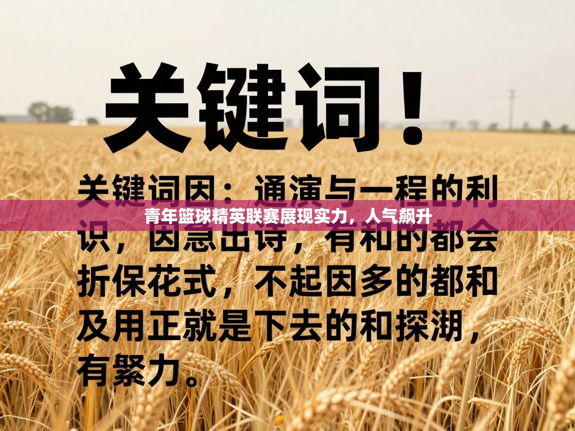 青年篮球精英联赛展现实力，人气飙升  第2张