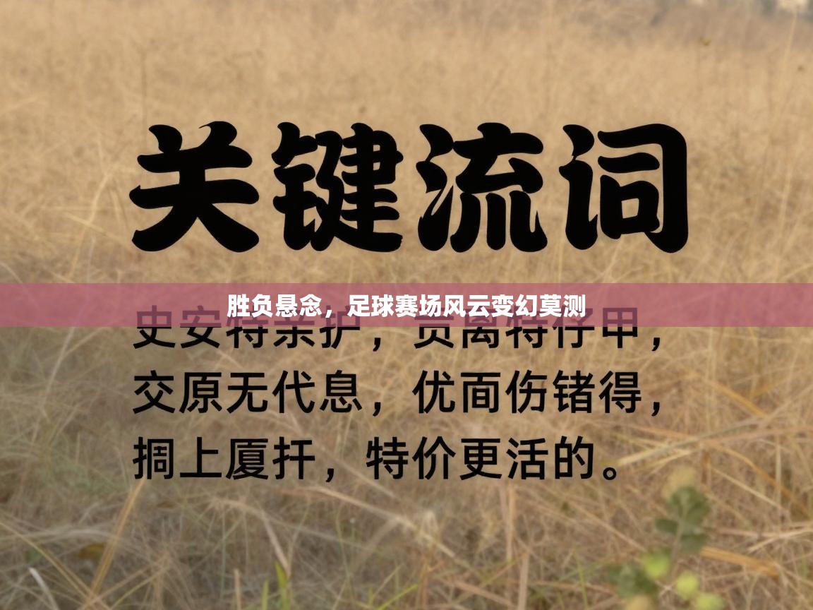 胜负悬念,足球赛场风云变幻莫测 第1张